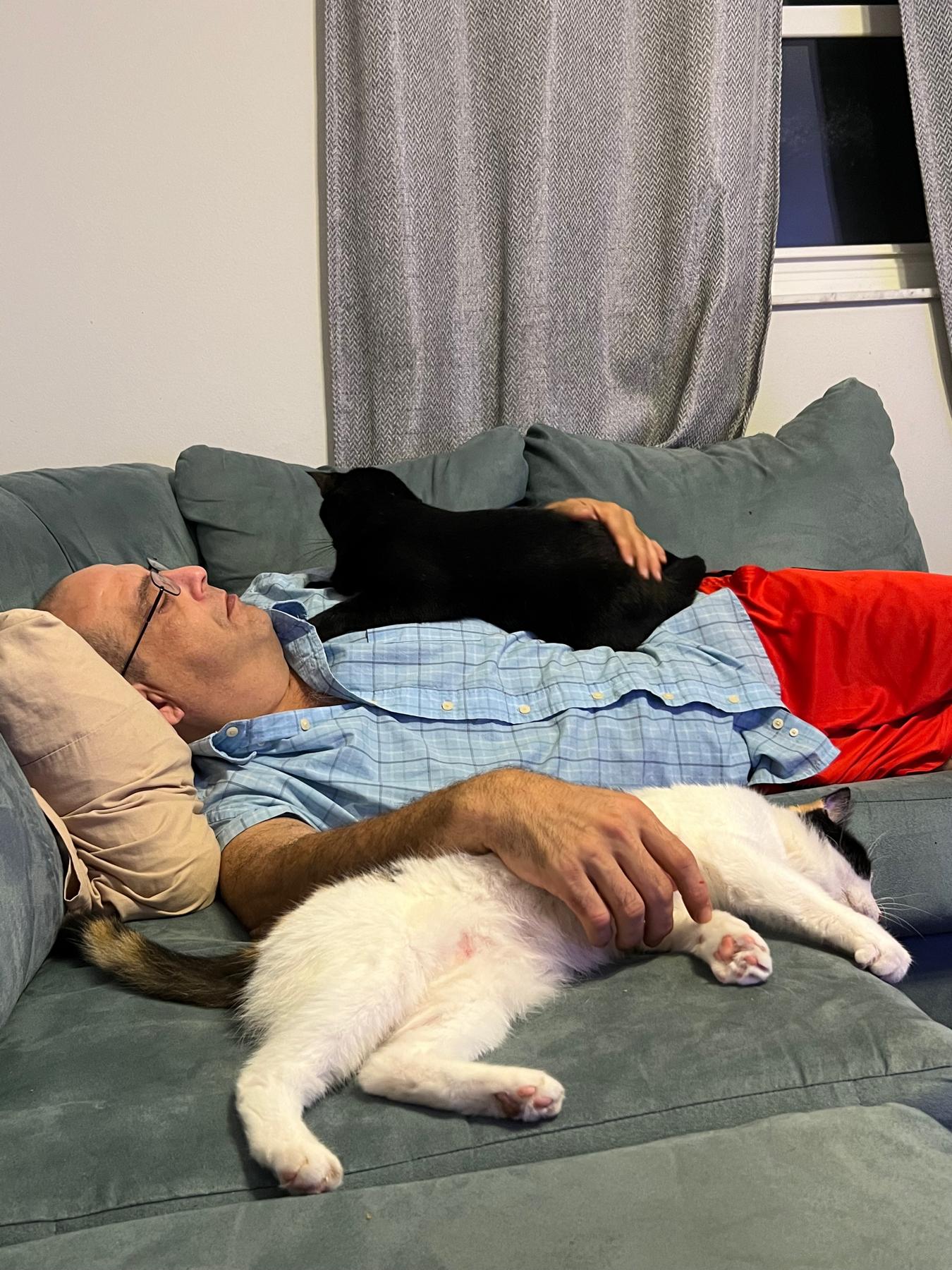 He loves them. Don’t listen if he says different.