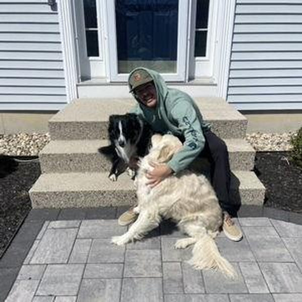 Dog Fund
