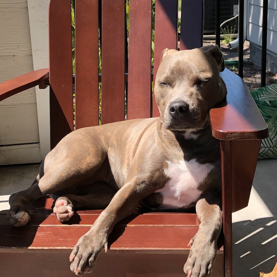 Zoey tanning - March 2020