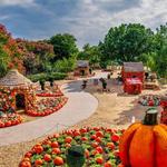 The Dallas Arboretum and Botanical Garden