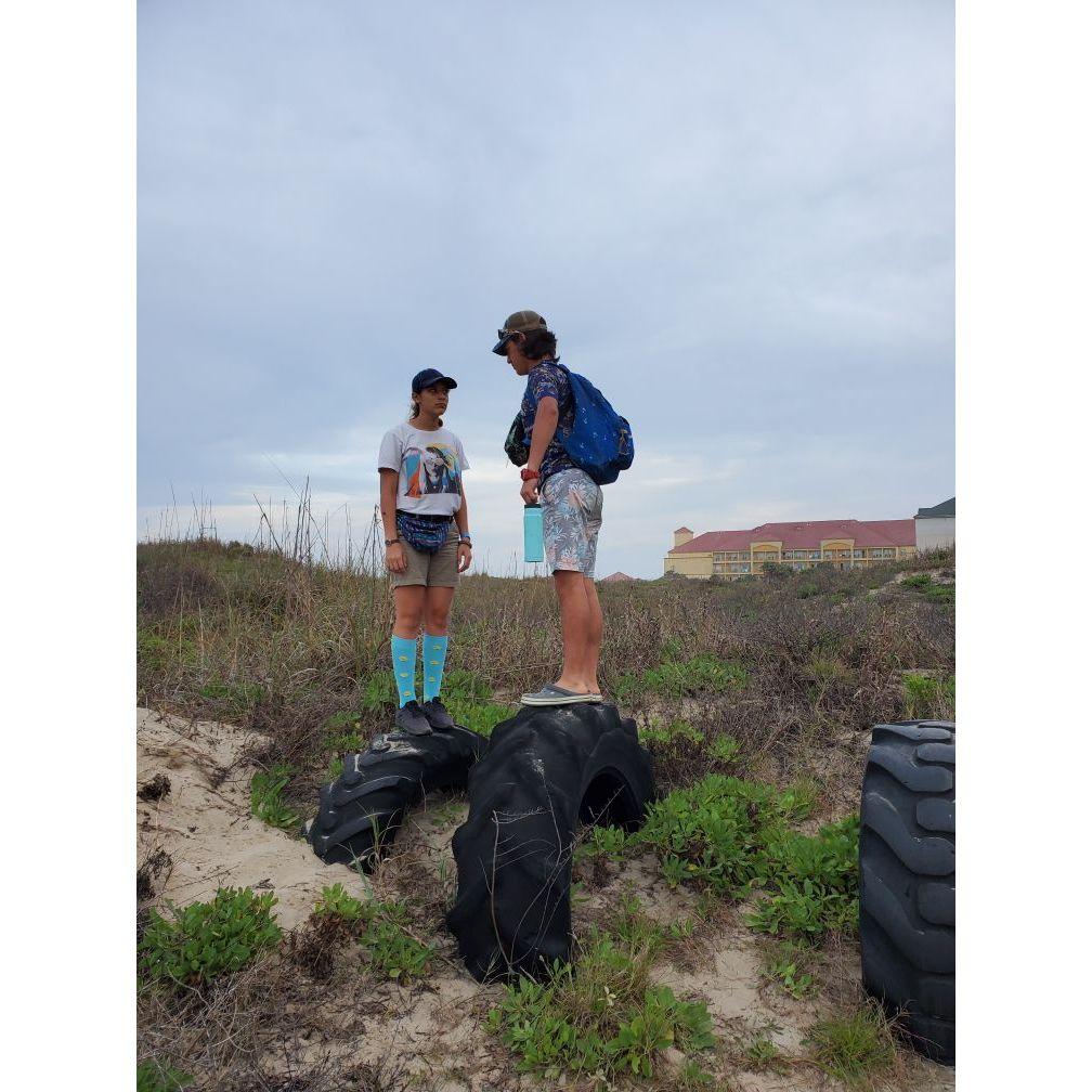 Beach Reach 2020