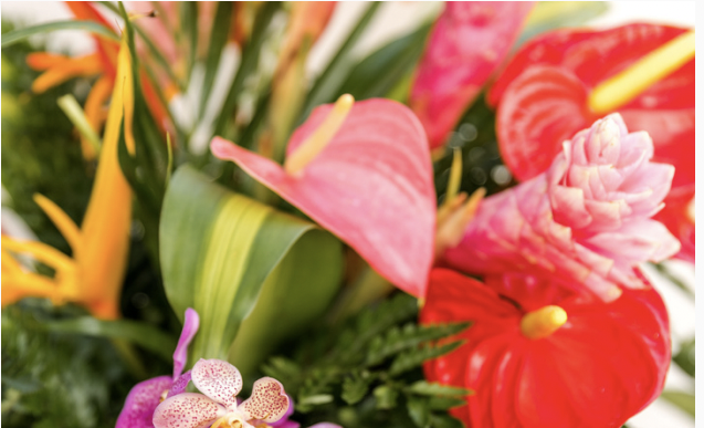 The Wedding Website of Makayla Light and Sean Watson