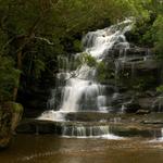 Somersby Falls Walking Track