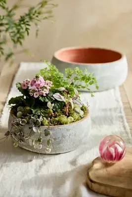 Canyon Blue Ceramic Bowl Planter