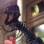 Denver Museum of Nature & Science