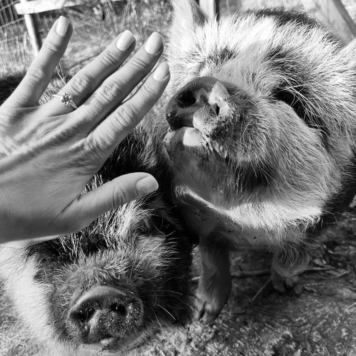 Hoss & Poppy