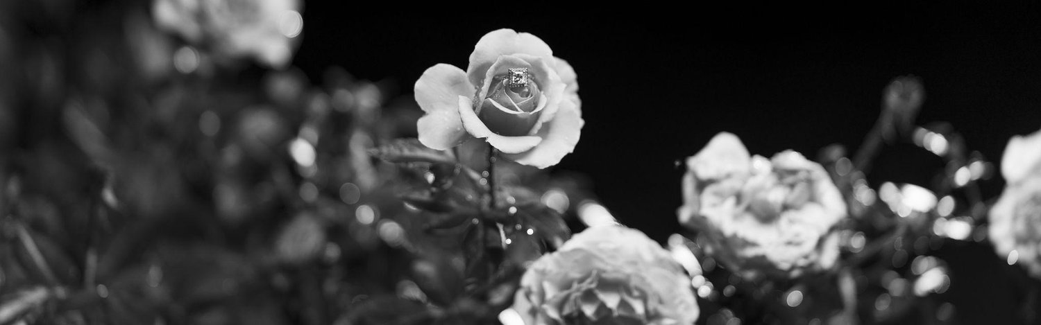 The Wedding Website of Gina Hitzfield and Sean Wiggins