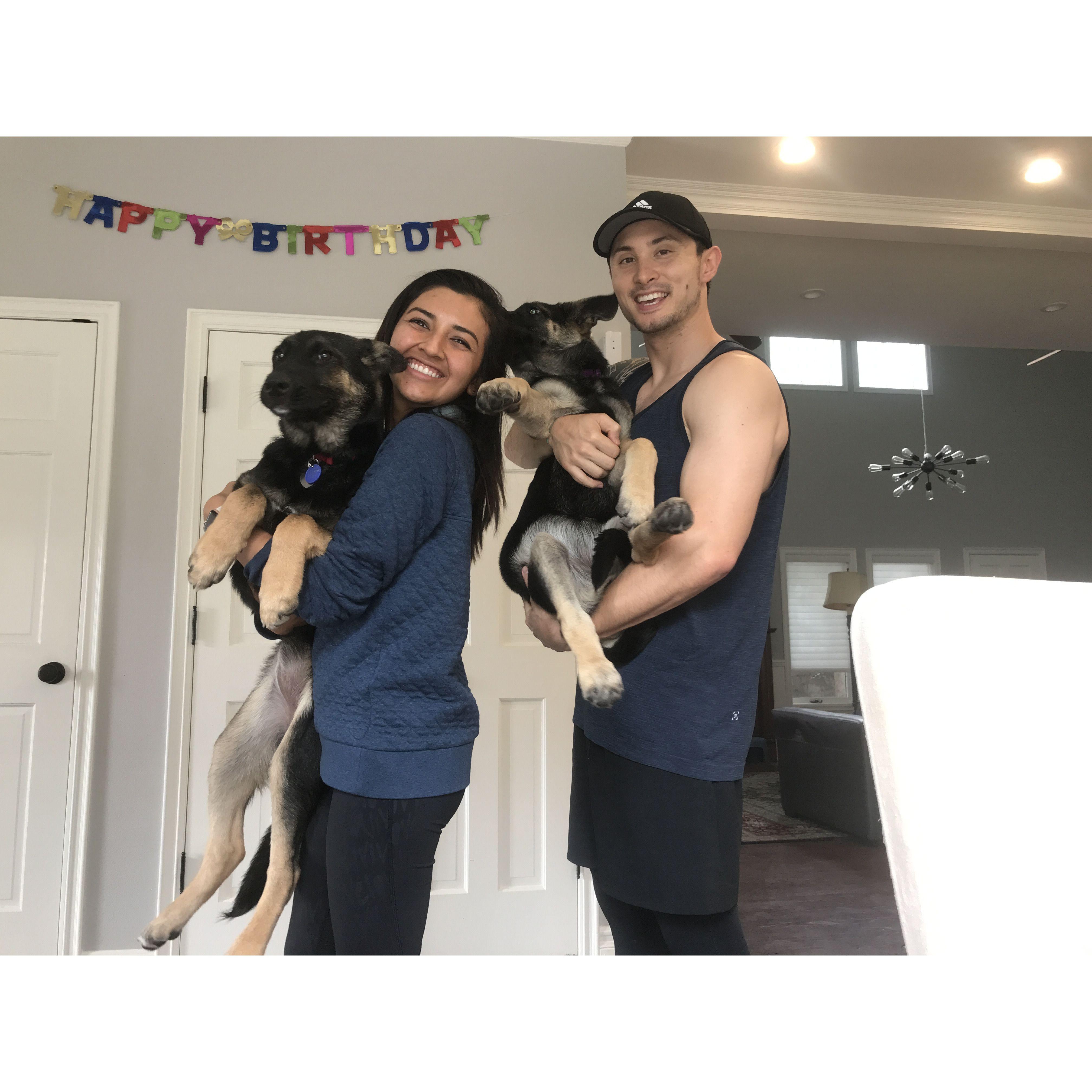 fostering Nala and her sister in 2019