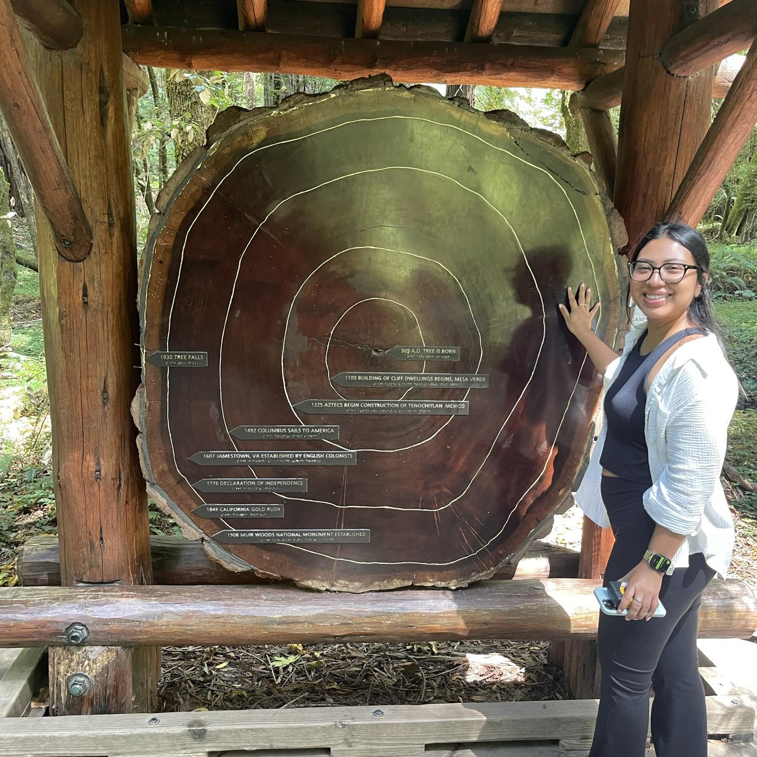 Wow, is that a big piece of tree stump?!