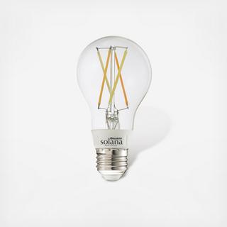 Solana 40 Watt Smart WIFI Connected LED Filament Light Bulb