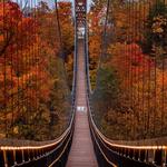 SkyBridge Michigan
