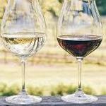 Yamhill Valley Vineyards