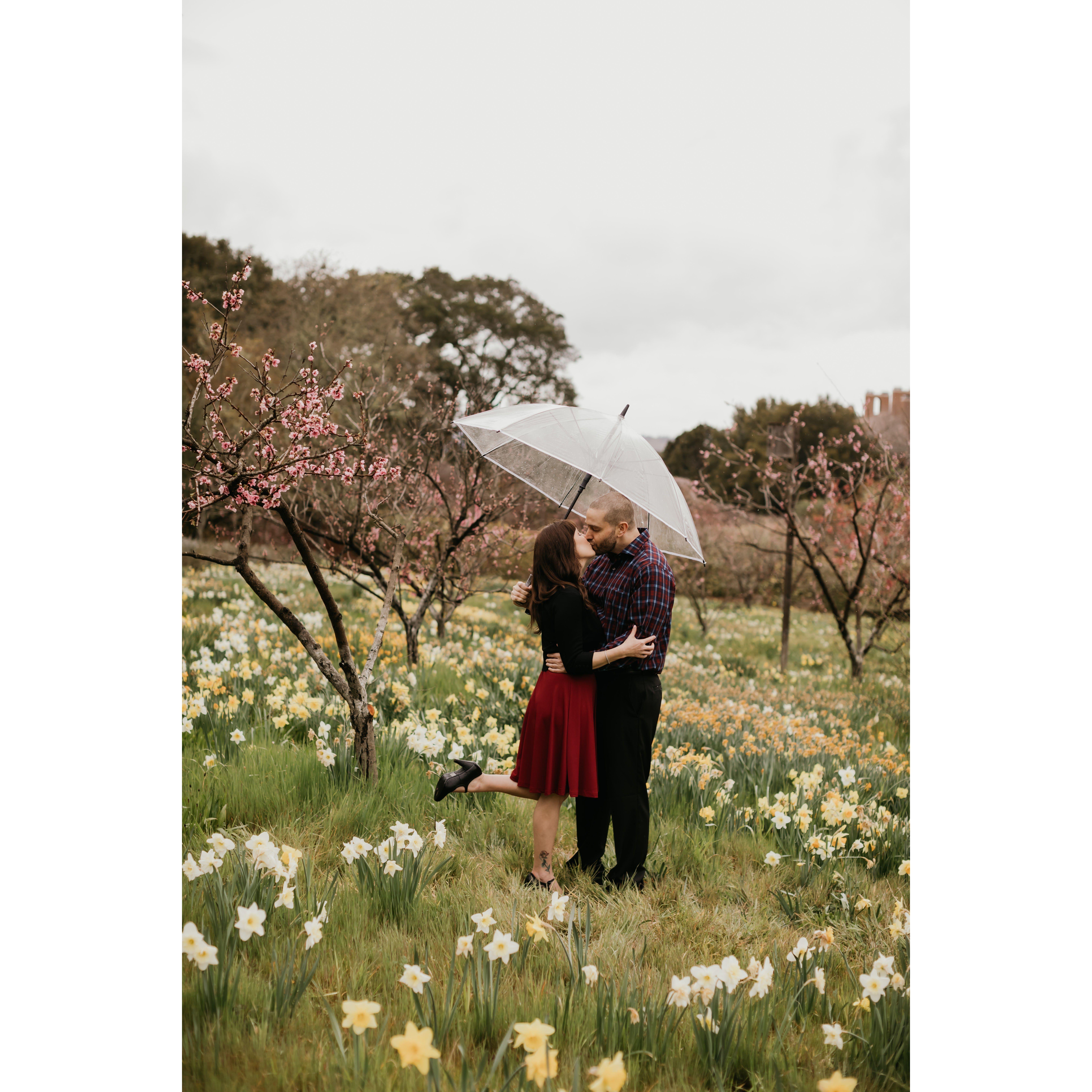Filoli Historical House and Gardens. Woodside, California March 2021
Photo Credit: Danielle Alysse Photography