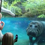 San Diego Zoo