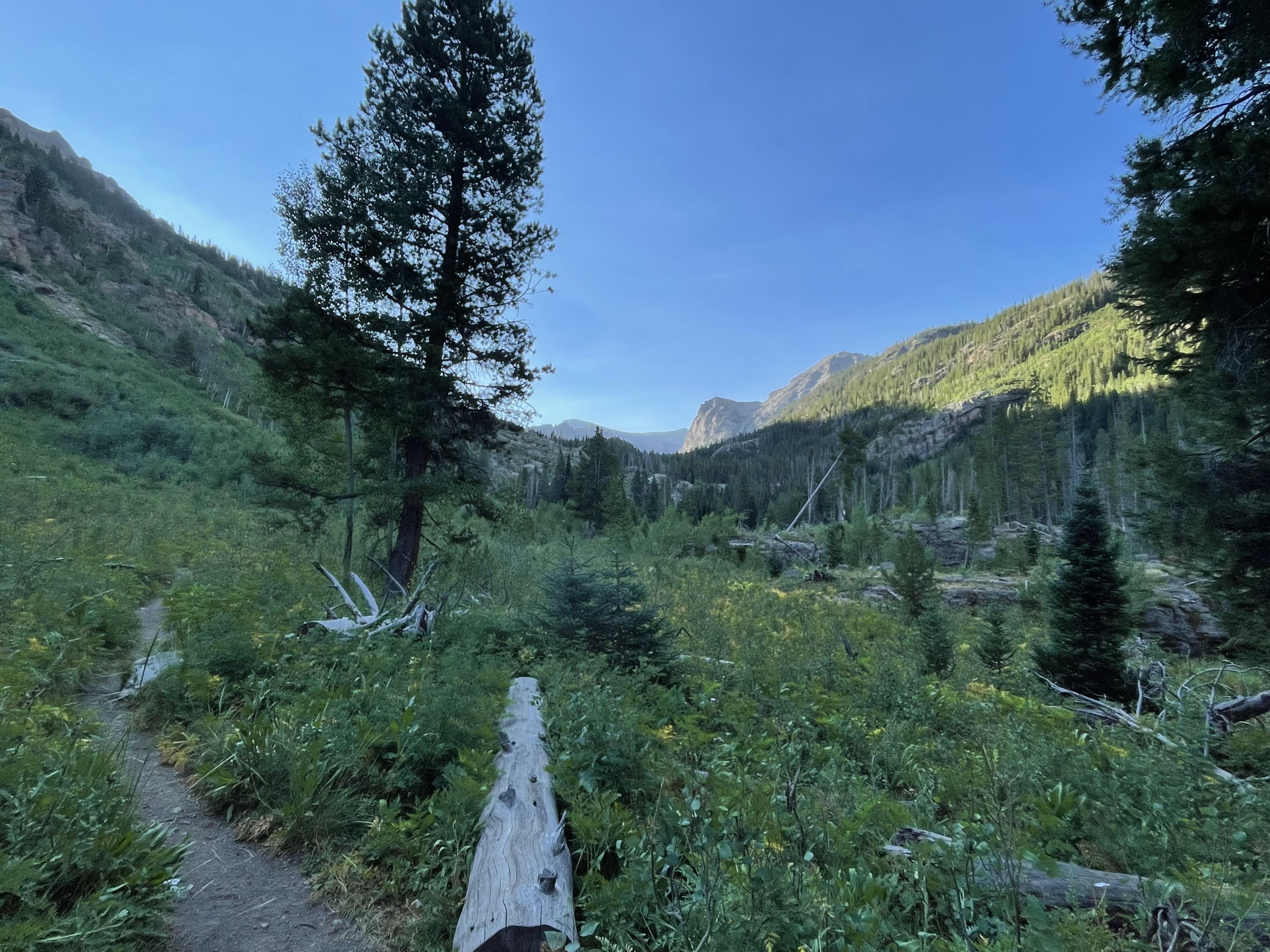 The Wedding Website of Matthew Petrosky and Abby Carter