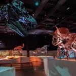 Houston Museum of Natural Science