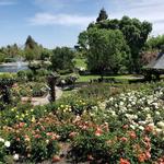 The Gardens at Heather Farm