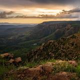 Apache-Sitgreaves National Forests