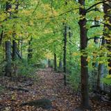 University of Wisconsin–Madison Arboretum