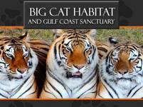 Big Cat Habitat & Gulf Coast Sanctuary