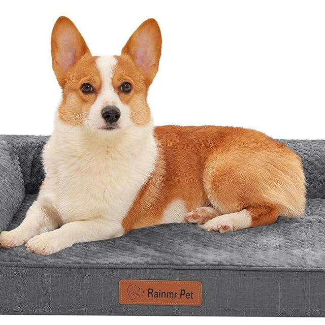Rainmr Orthopedic Dog Bed Medium Size Dog, Memory Foam Dogs Bed for Medium Dogs, Washable Removable Cover, Nonskid Bottom, Waterproof, for Indoor, Outdoor, Crate ＆ Car Use, 35x23x6 Inches, Dark Grey