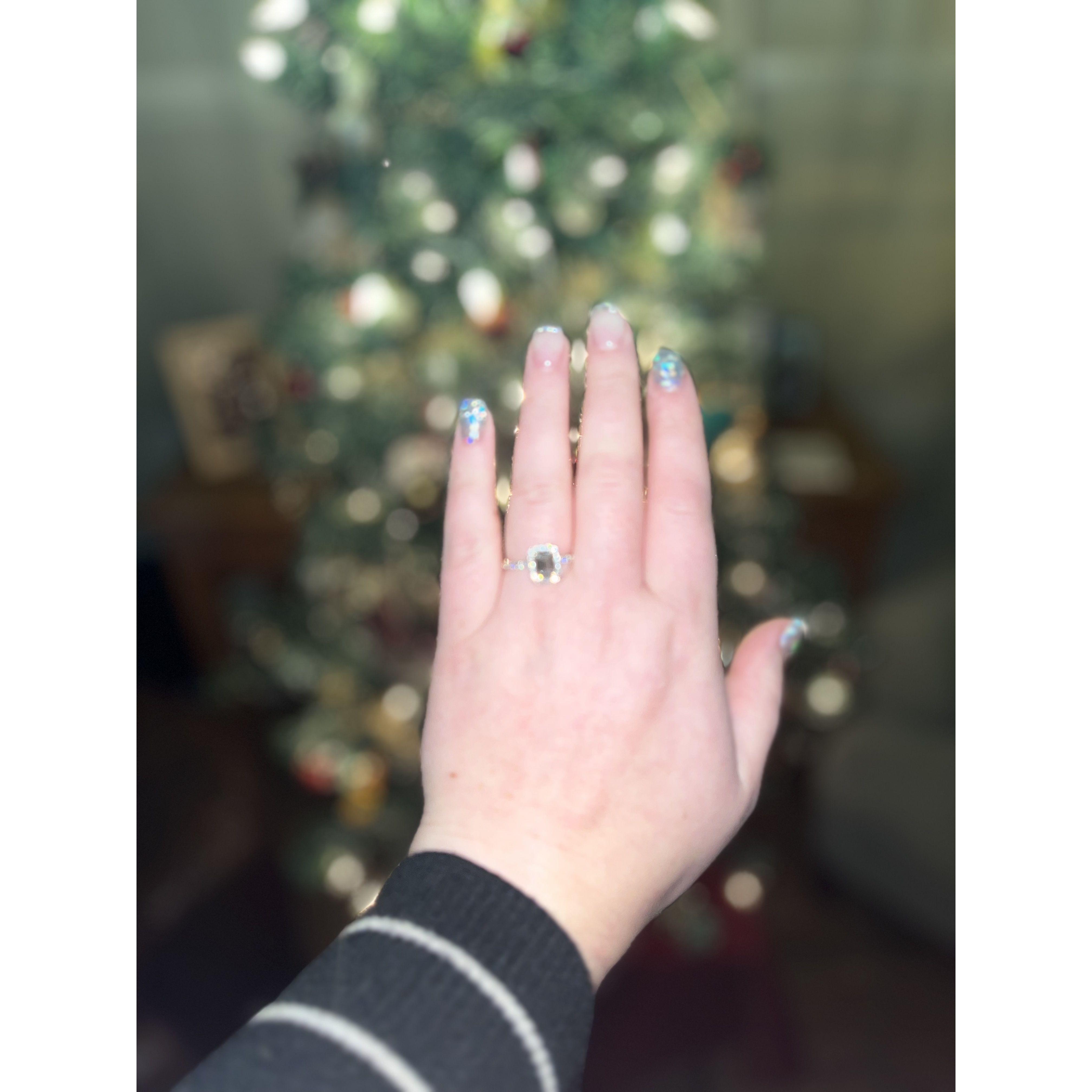 The beautiful ring