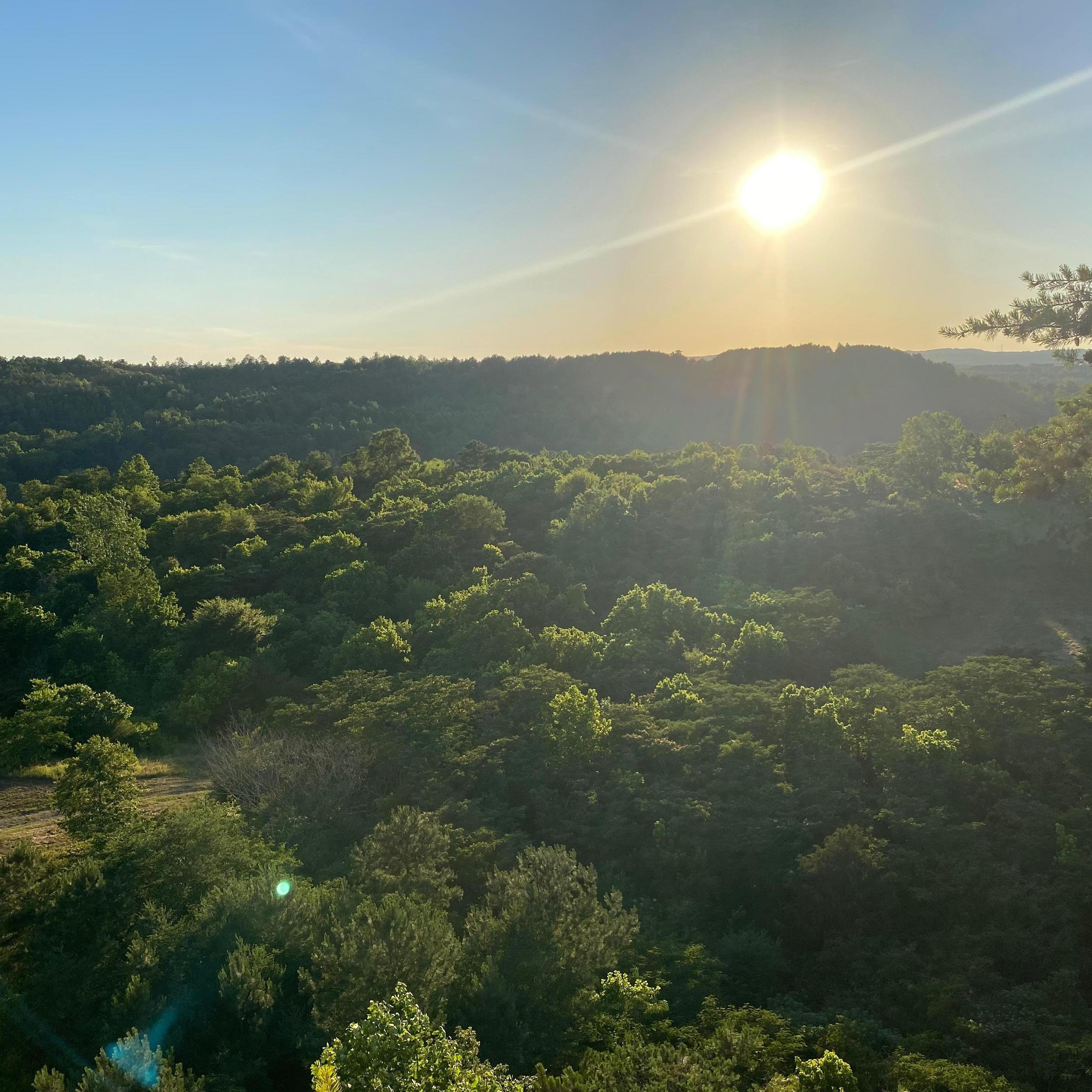 Our view from the peak of our property