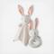 Hop The Bunny