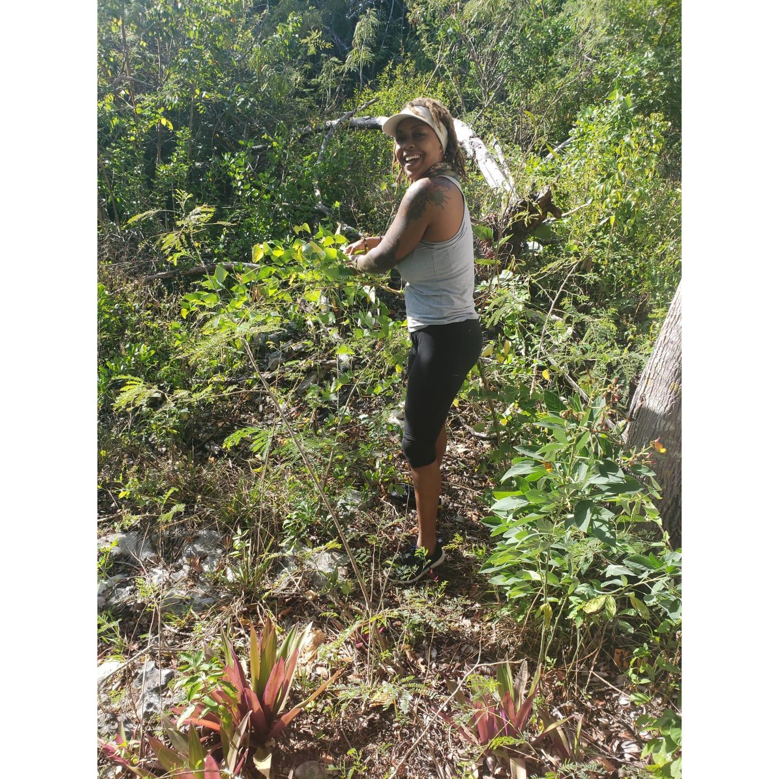 The forage for beans!