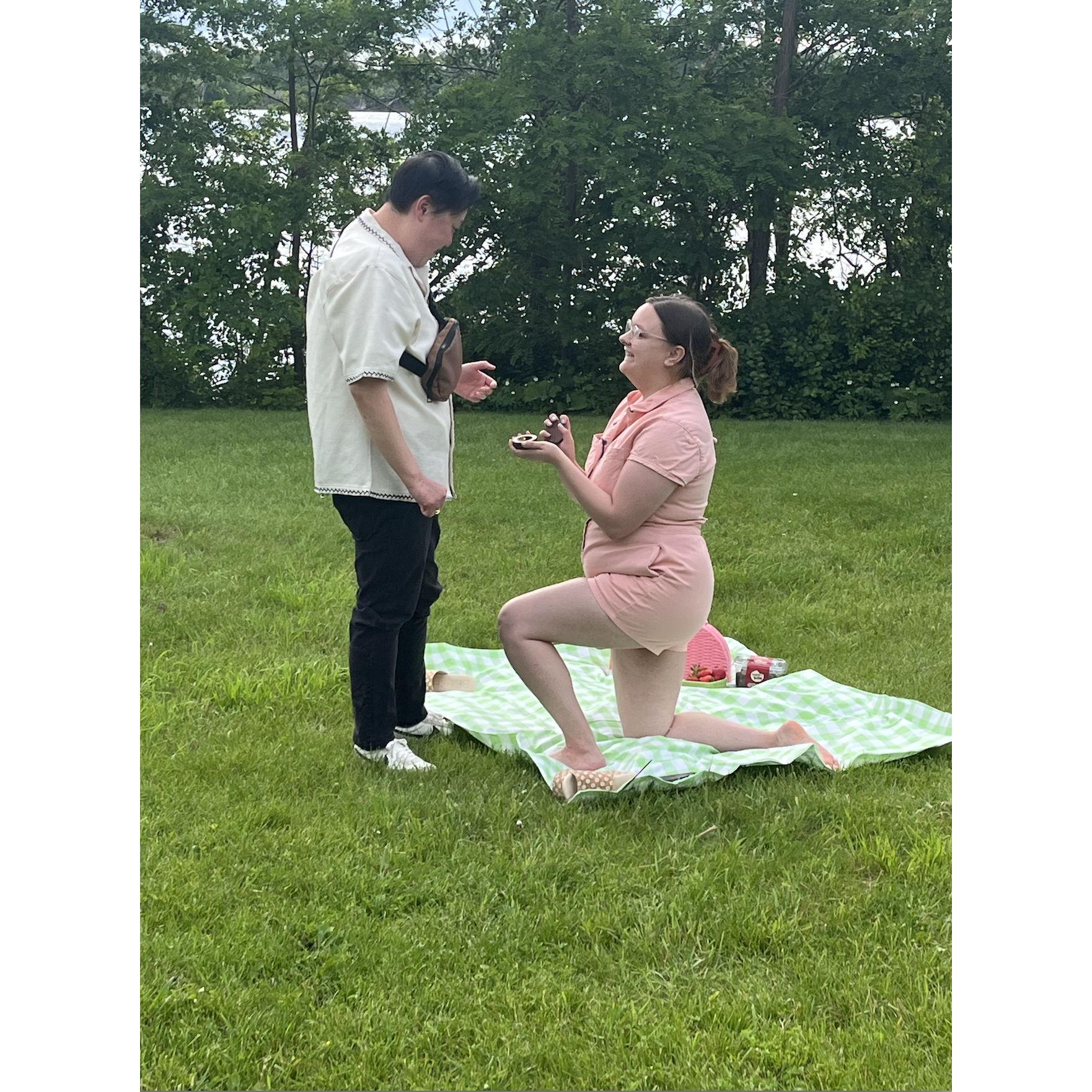 Anna's proposal: the proposal