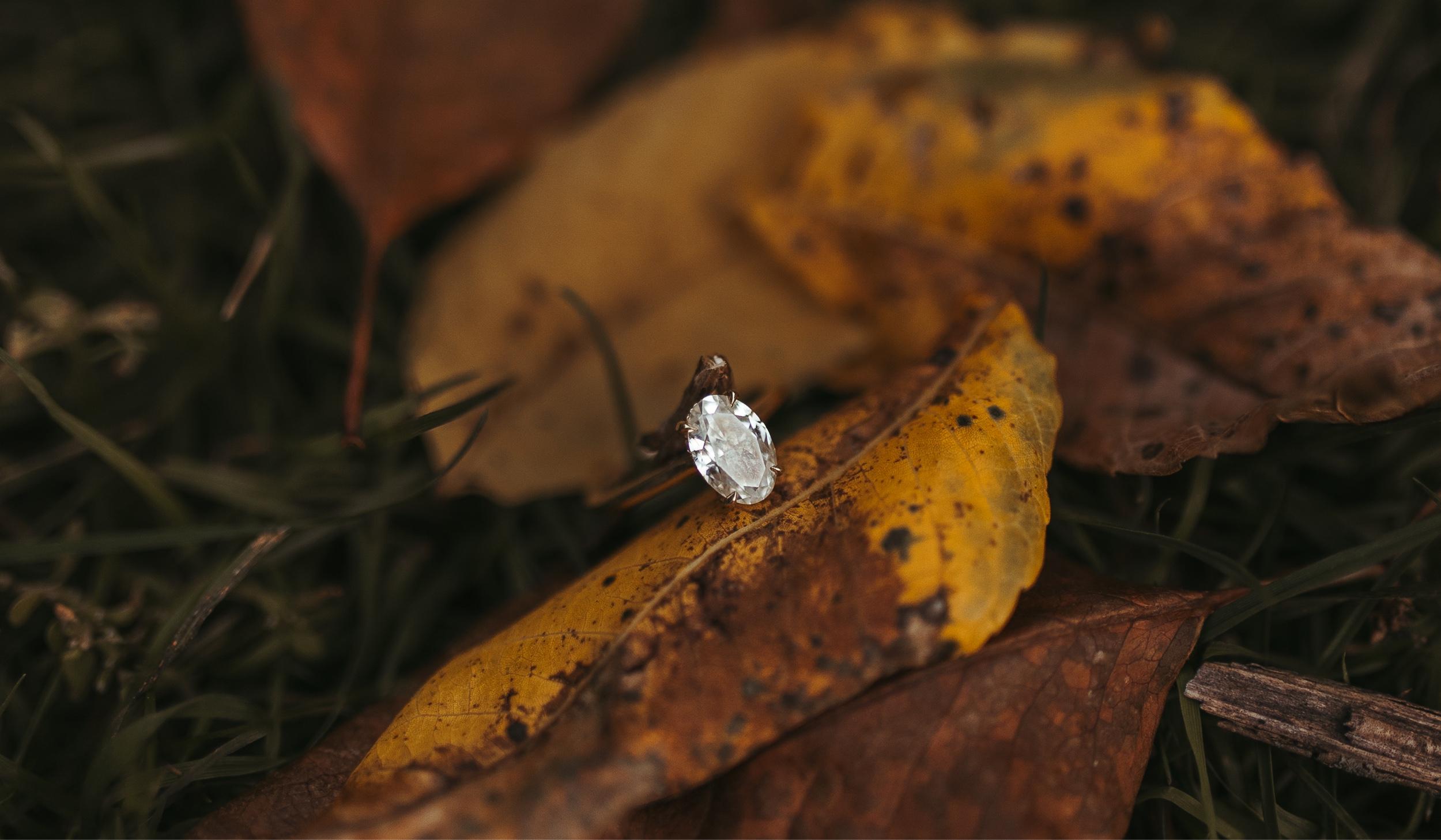 The Wedding Website of Marissa Andrews and Drew Chellsen