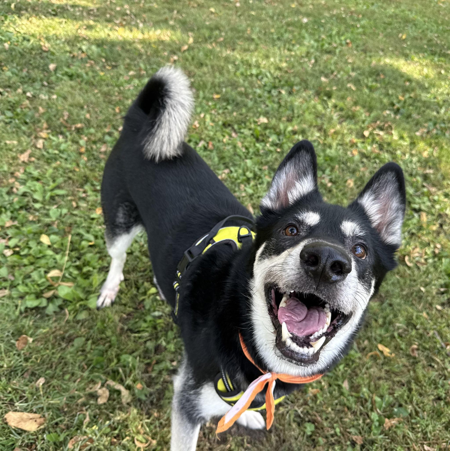 One of many Axel at the park pictures