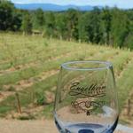 Engelheim Vineyards