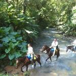 TULEMAR RESORT ACTIVITIES