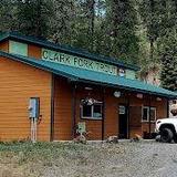 Clark Fork Trout