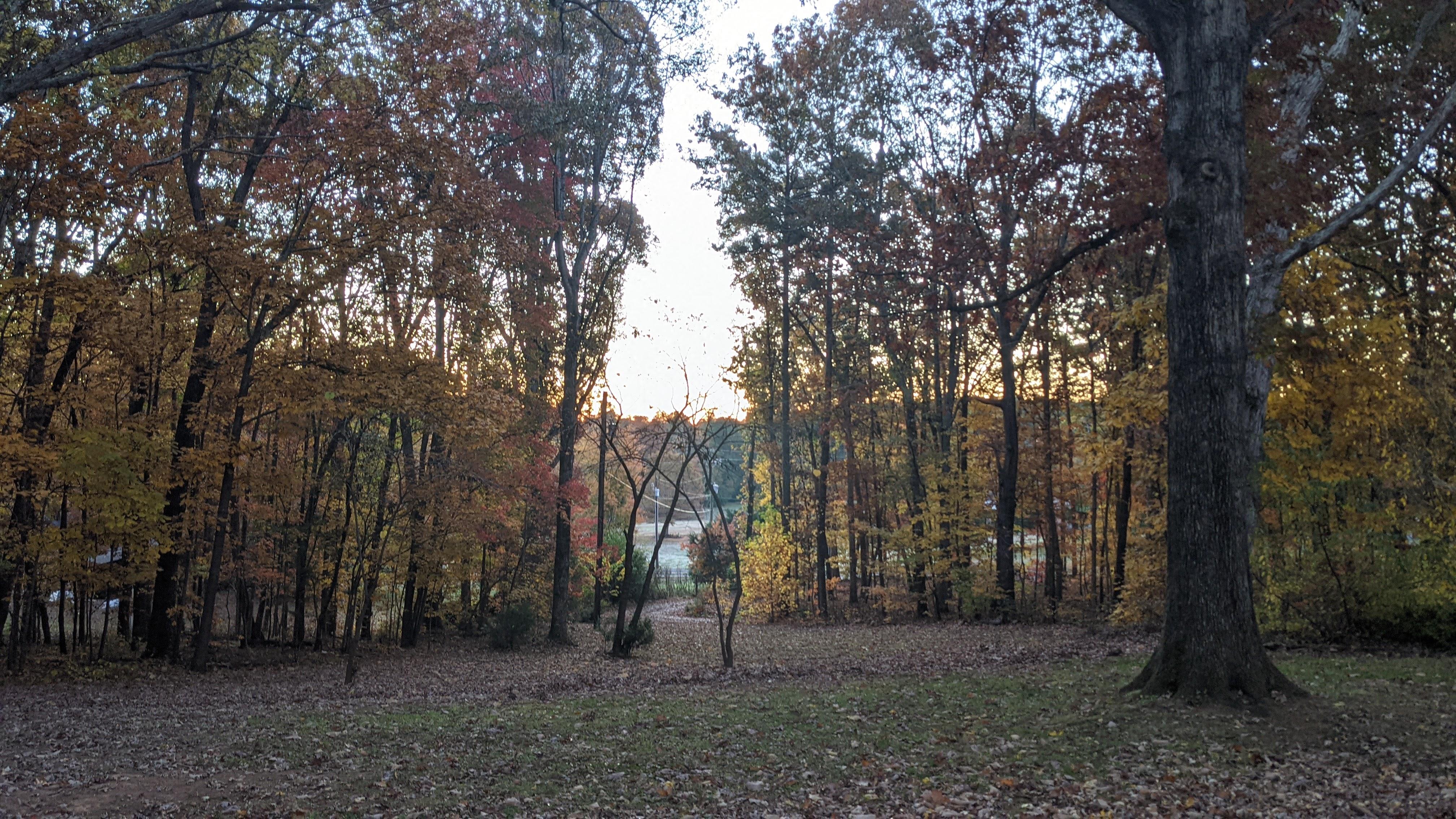 The Wedding Website of Angela Bittner and Travis Penny