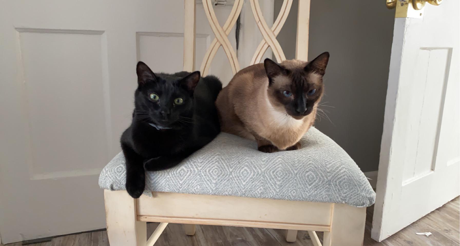 Moscato and Mao