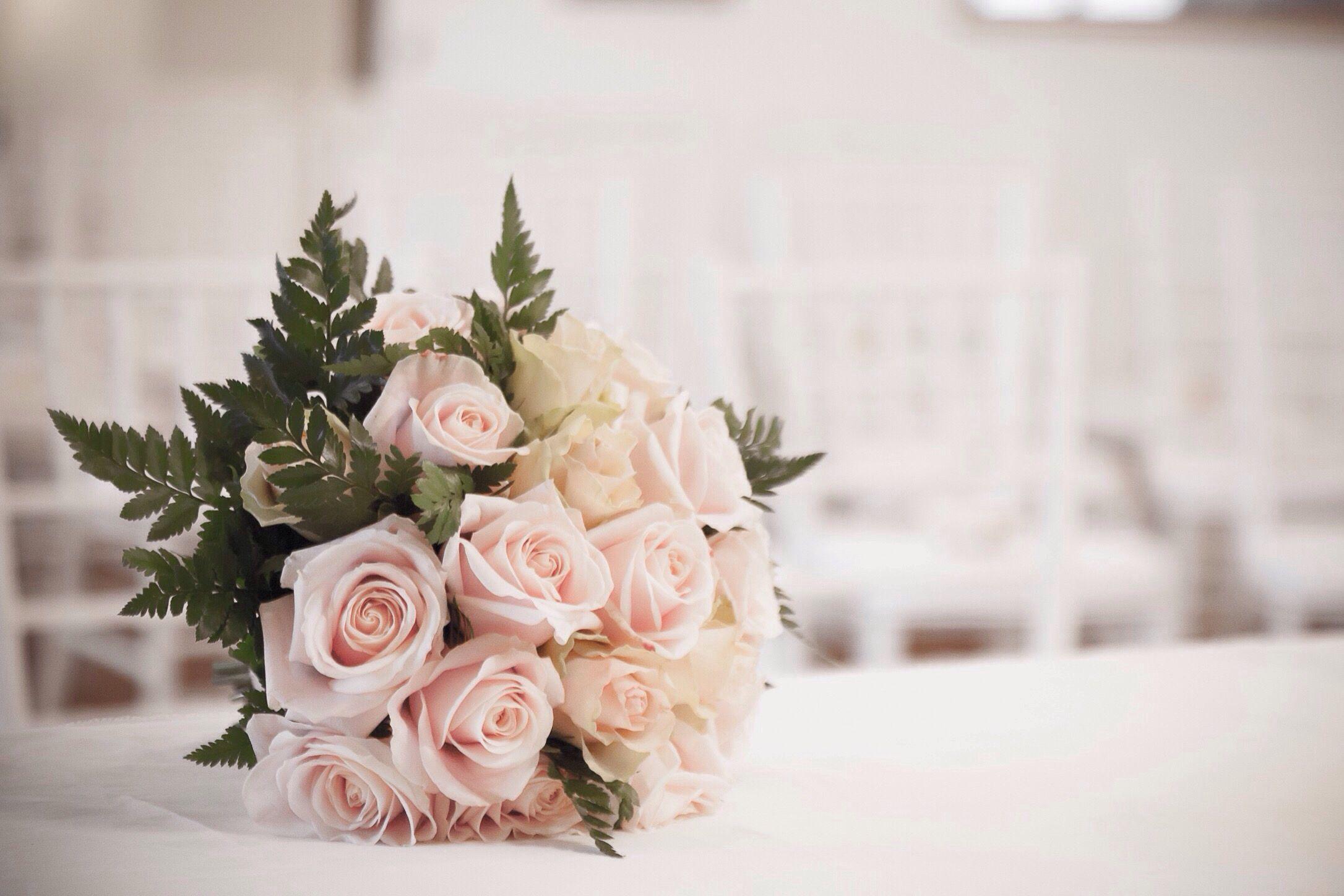 The Wedding Website of Natasha Messinger and Keith Schon