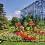 Frederik Meijer Gardens & Sculpture Park