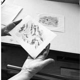 Printmaking Workshop