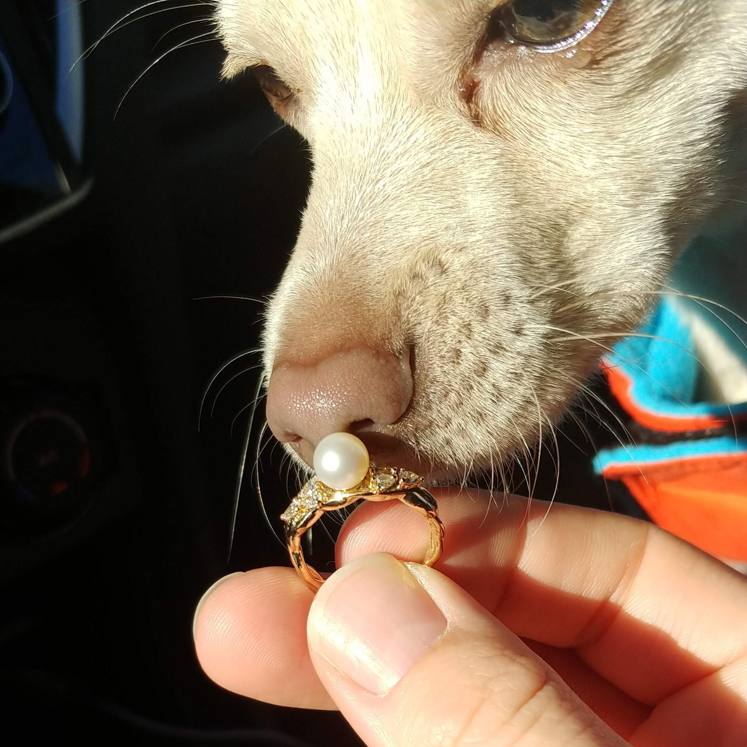 Monty said yes too!