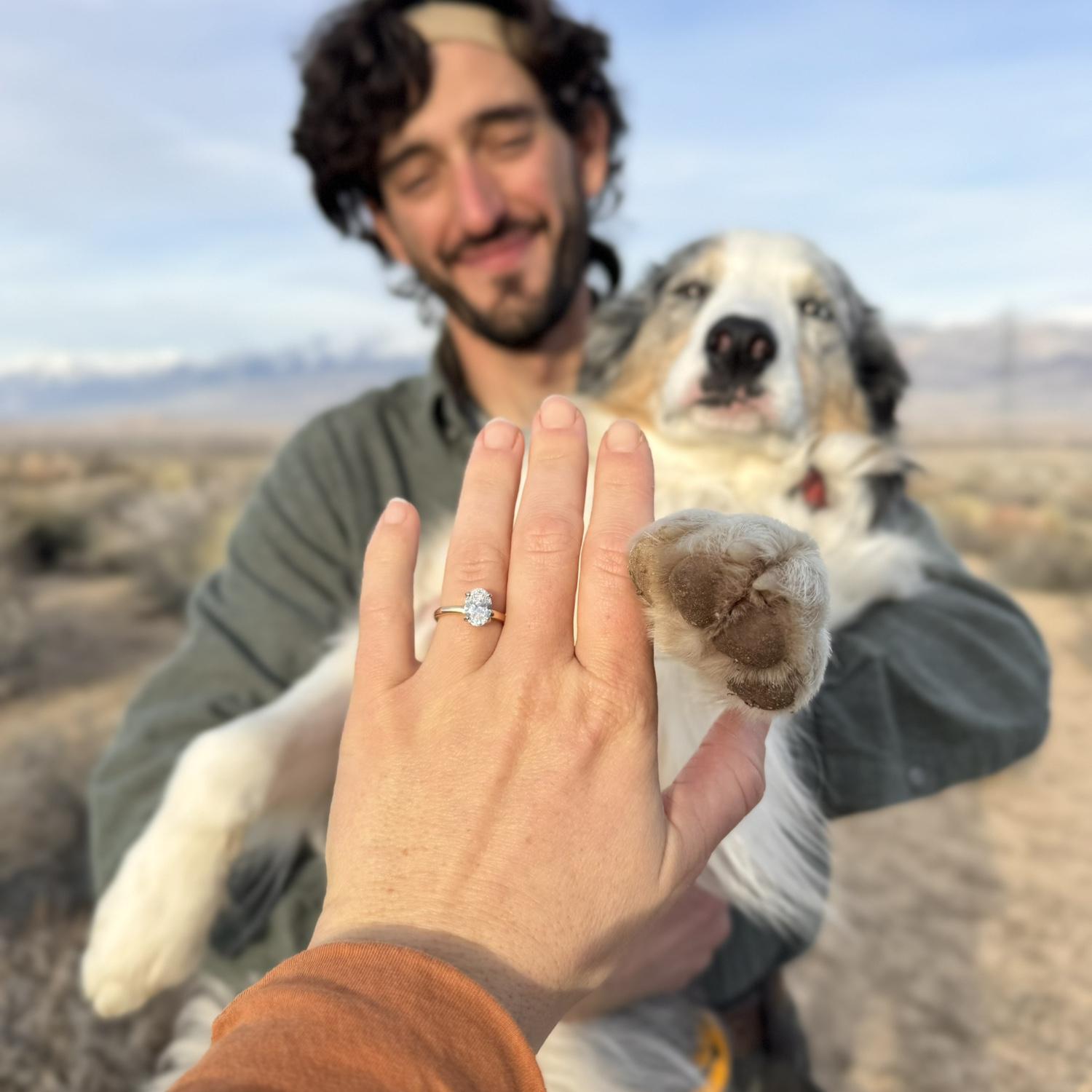 Piper approved.