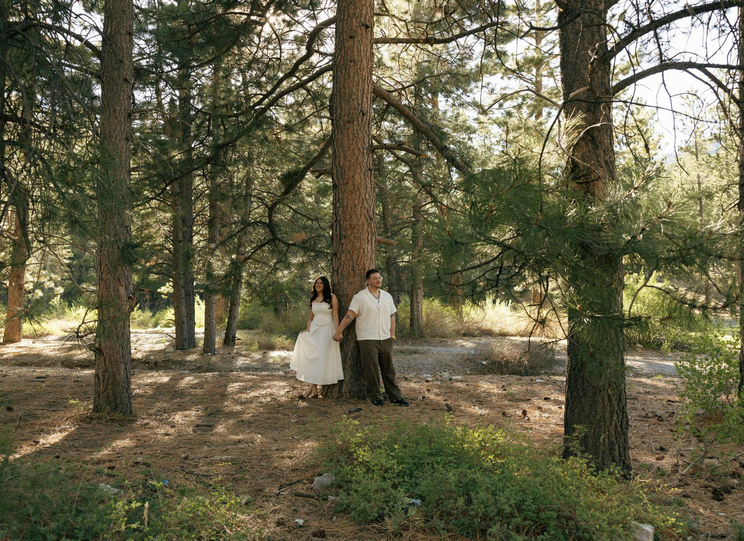 The Wedding Website of Diana Alvarado and Cyrus Olson