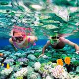 Tours & Excursions