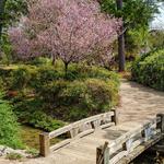 Hermann Park