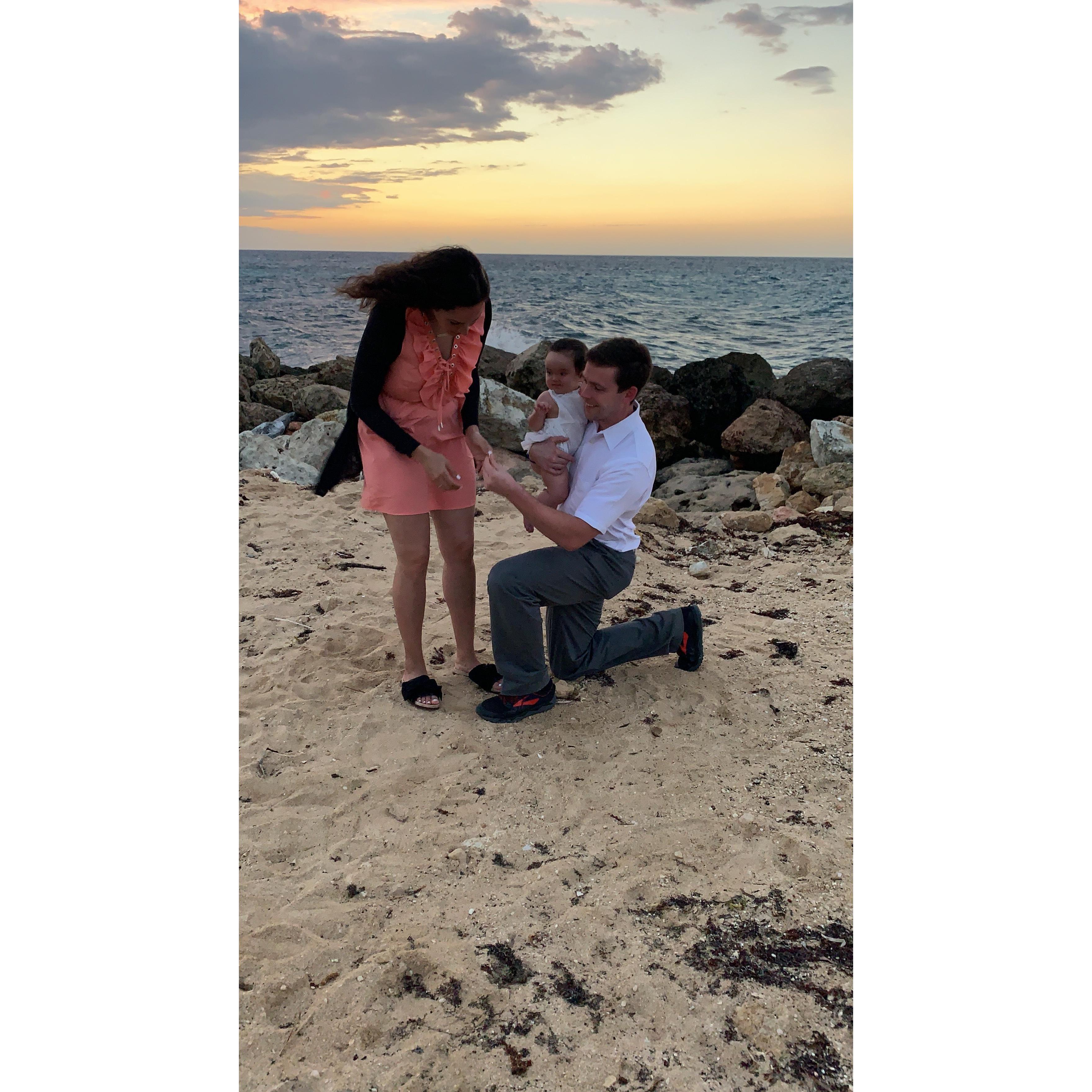 I found a cool sea shell