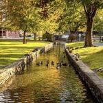 The Bulls Head Public House and  Downtown Lititz