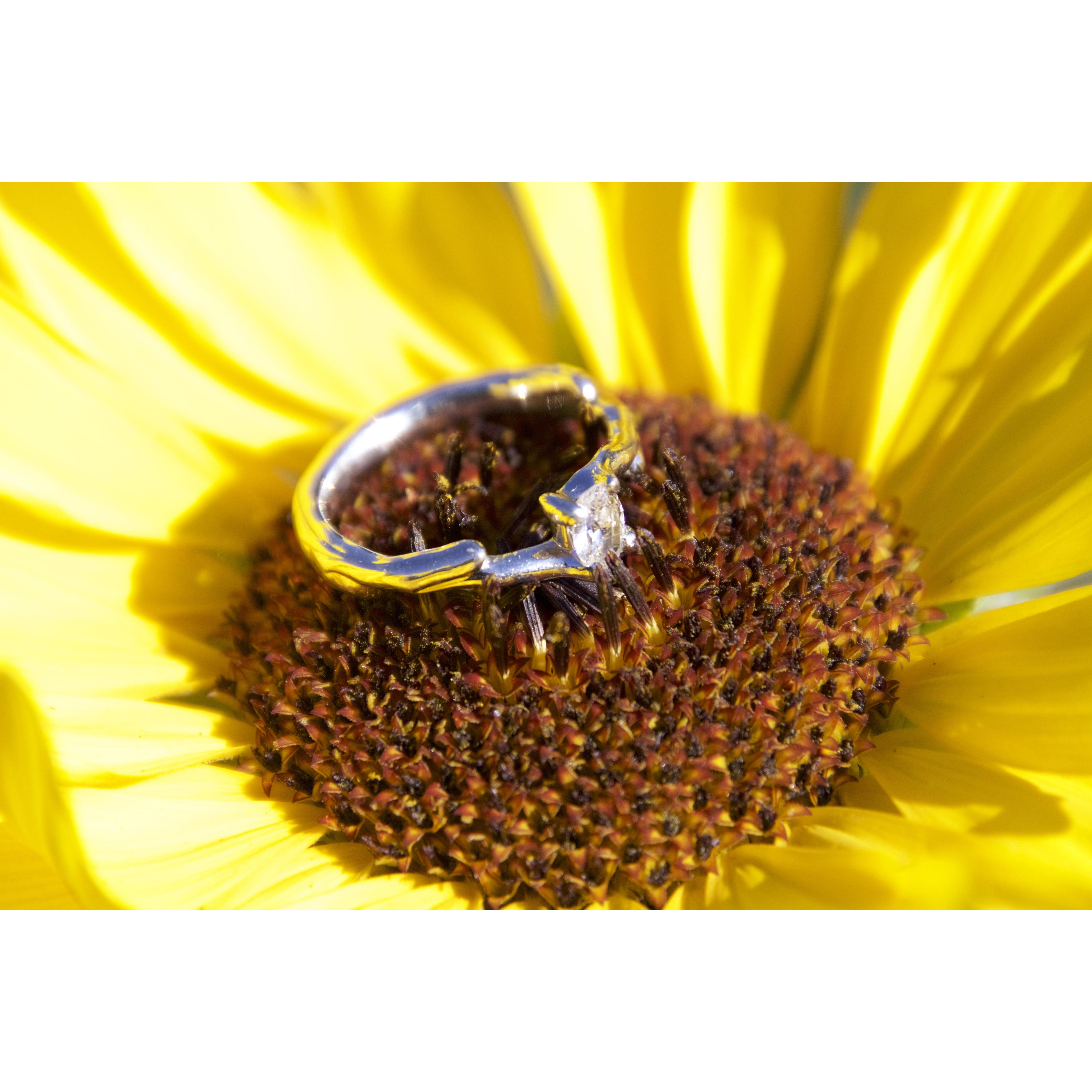 He calls me his Sunflower.