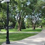 Central Park
