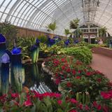 Phipps Conservatory and Botanical Gardens